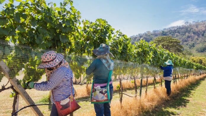 Administration Signals Hope for Farmworkers and Hotel Workers Through Possible Immigration Changes