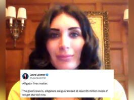 Former Congressional Candidate Laura Loomer Says Alligators Deserve 65 Million Meals, but Who Is She Talking About?