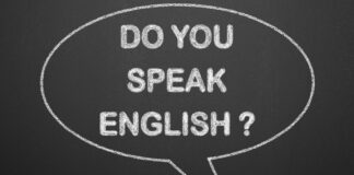 Federal Agencies Begin Cutting Multilingual Services as Immigrant Families Navigate Isolation Under New English Only Standard Federal Agencies Begin Cutting Multilingual Services as Immigrant Families Navigate Isolation Under New English Only Standard