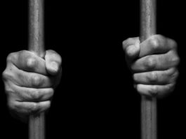 DACA Recipient Detained in 'Alligator Alcatraz' Amid Growing Concerns Over Legal Protections