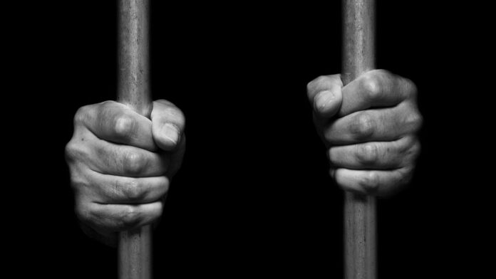 DACA Recipient Detained in 'Alligator Alcatraz' Amid Growing Concerns Over Legal Protections