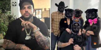 Emiliano Aguilar Rejects Apology Posted on Pepe Aguilar’s Dog Instagram and Accuses Family of Hypocrisy Emiliano Aguilar Rejects Apology Posted on Pepe Aguilar’s Dog Instagram and Accuses Family of Hypocrisy