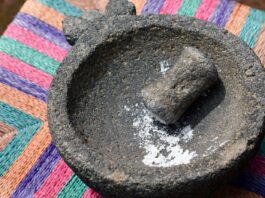 The Molcajete and the Stone That Still Shapes Mexican Cooking The Molcajete and the Stone That Still Shapes Mexican Cooking
