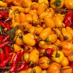 Why Spicy Food Belongs to Latin America Why Spicy Food Belongs to Latin America