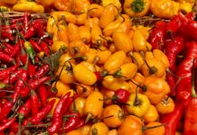 Why Spicy Food Belongs to Latin America Why Spicy Food Belongs to Latin America