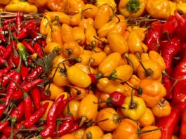 Why Spicy Food Belongs to Latin America Why Spicy Food Belongs to Latin America