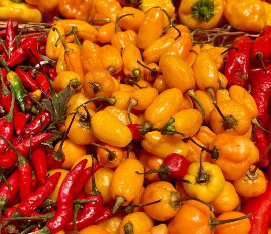 Why Spicy Food Belongs to Latin America Why Spicy Food Belongs to Latin America