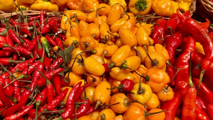 Why Spicy Food Belongs to Latin America