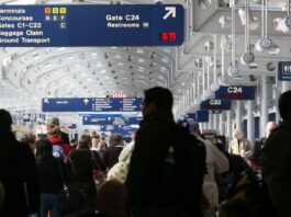 ICE Is Now Part of Airport Security: This Is What Immigrants Need to Know ICE Is Now Part of Airport Security: This Is What Immigrants Need to Know