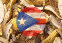 Puerto Rican Students Found a Way to Turn Banana Peels Into Biodegradable Plastic and the Island’s Landfills May Never Be the Same Puerto Rican Students Found a Way to Turn Banana Peels Into Biodegradable Plastic and the Island's Landfills May Never Be the Same