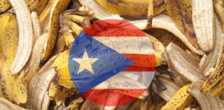 Puerto Rican Students Found a Way to Turn Banana Peels Into Biodegradable Plastic and the Island’s Landfills May Never Be the Same Puerto Rican Students Found a Way to Turn Banana Peels Into Biodegradable Plastic and the Island's Landfills May Never Be the Same
