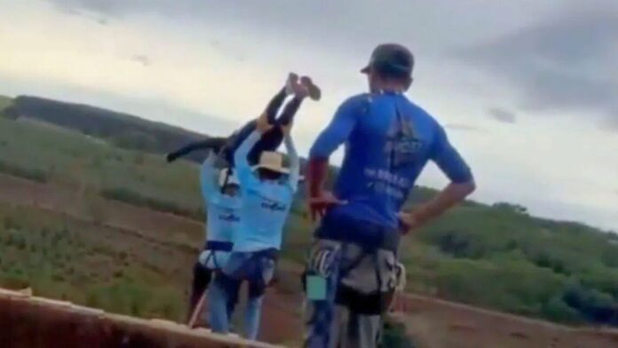 A 21-Year-Old Brazilian Woman Was Pushed Off a Bridge for a Bungee Jump Without Her Safety Rope Attached