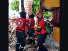 Los Topos From Mexico Have Responded to Disasters Across Latin America for Decades but the Colombian Government Has Not Let Them In Yet Los Topos From Mexico Have Responded to Disasters Across Latin America for Decades but the Colombian Government Has Not Let Them In Yet