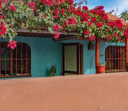 Minimalism Wants Us to Strip Everything Down but Latin Culture Was Built on Abundance Minimalism Wants Us to Strip Everything Down but Latin Culture Was Built on Abundance